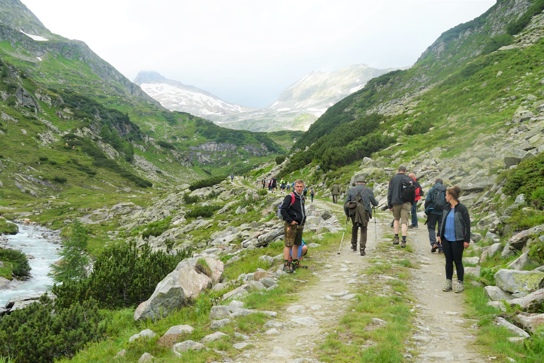 Landesalmwandertag © kk